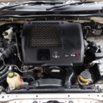 Fwgo43kw17kkwnqm3q10pvasing208wxwaca5139